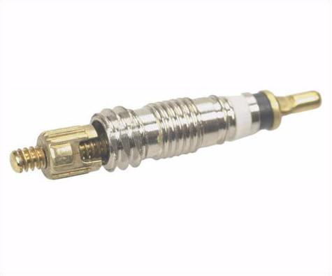 Stan's Removable Valve Core