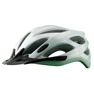 Evo E-Tec Draft Team Helmet
